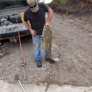 Meet your Posher, Marion